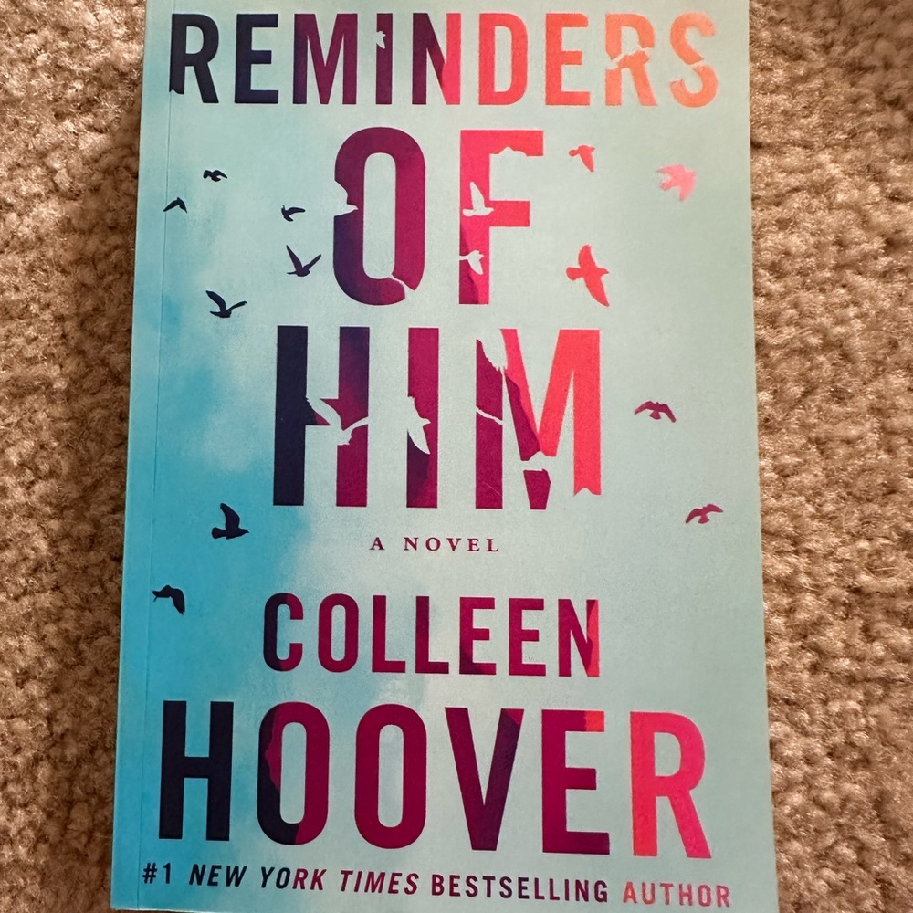 'Reminders of Him' Novel - Blue and Pink Cover
